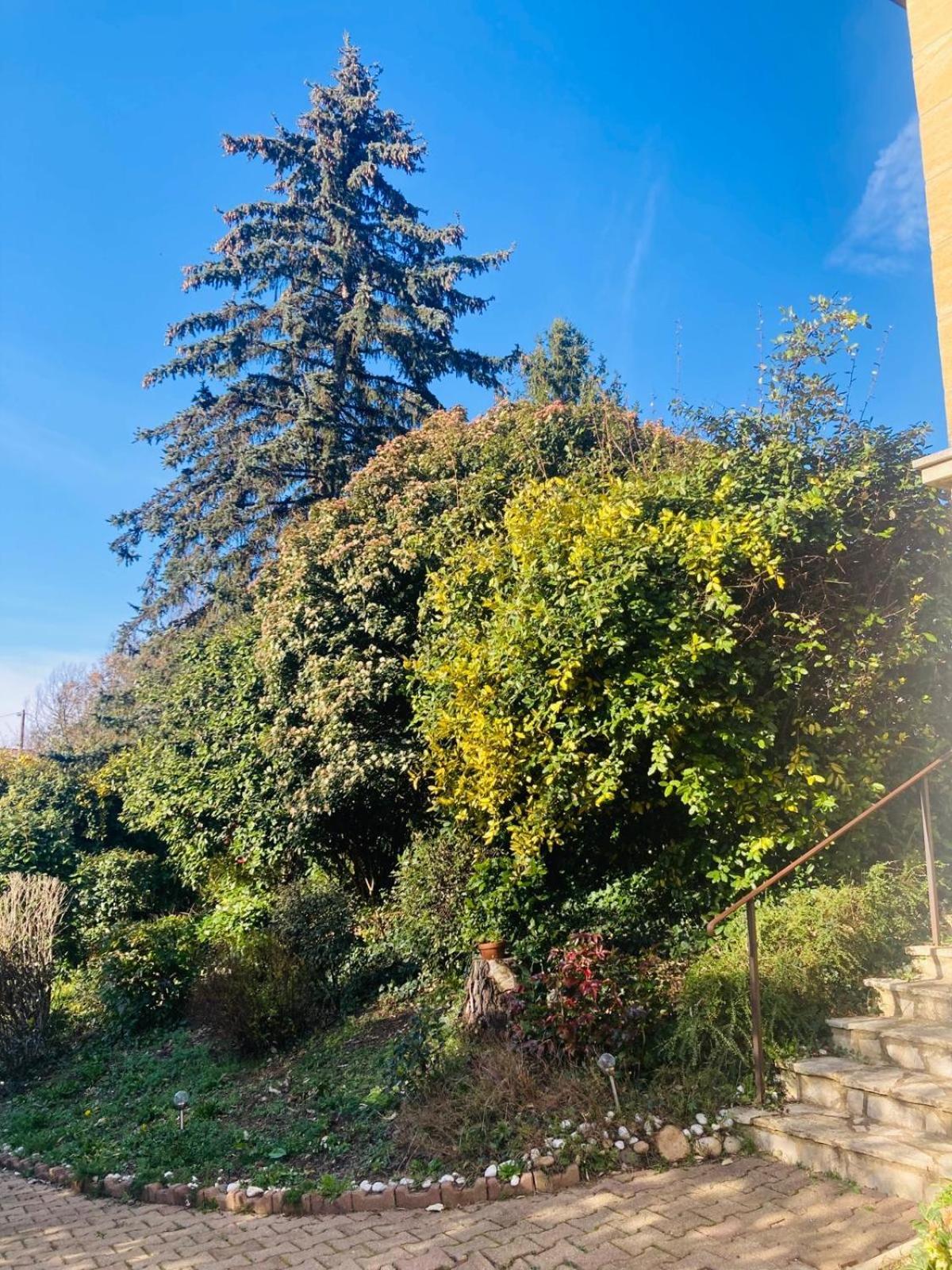 La Petite Noix Leilighet Sarlat-la-Canéda Eksteriør bilde