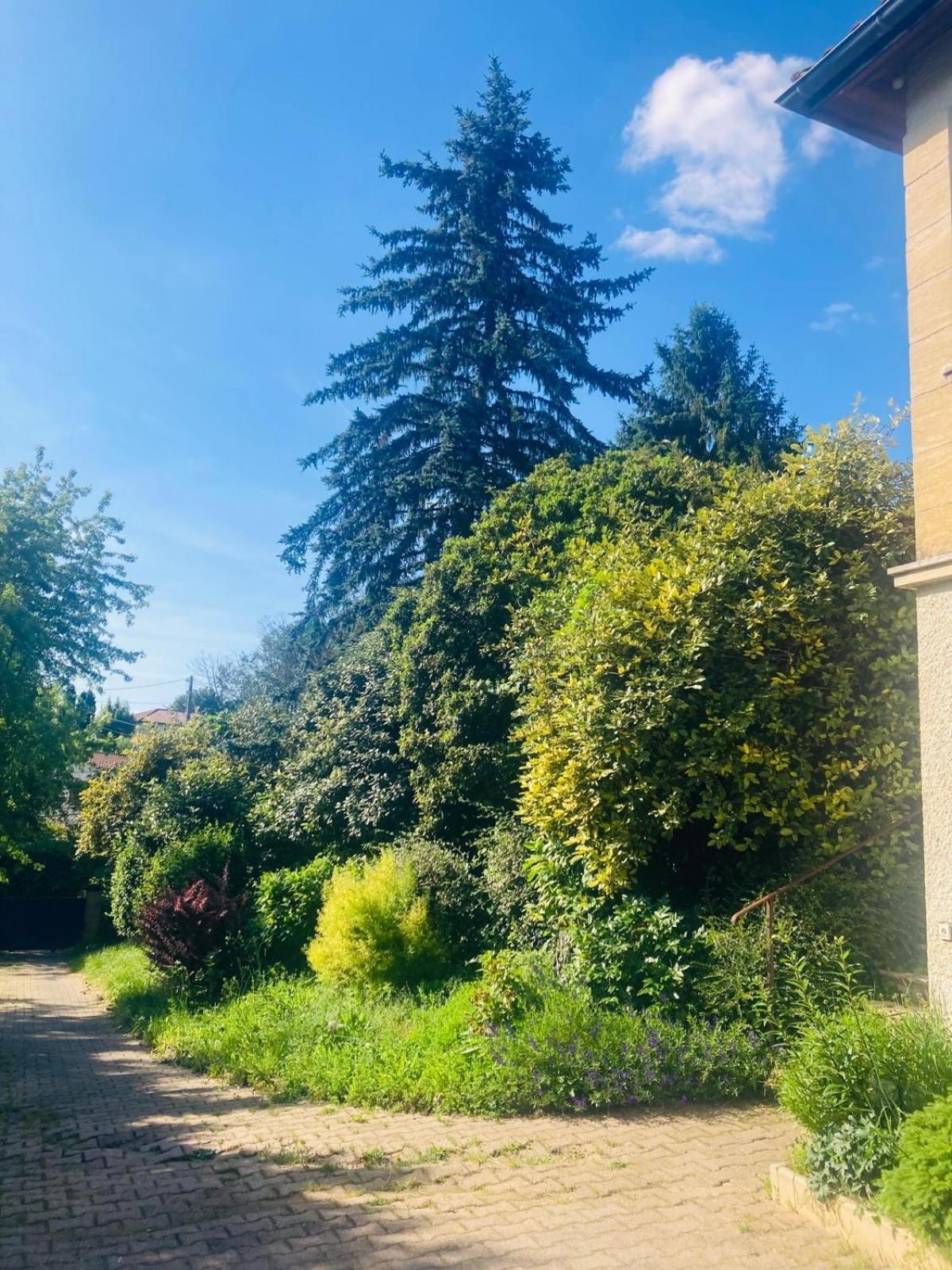 La Petite Noix Leilighet Sarlat-la-Canéda Eksteriør bilde